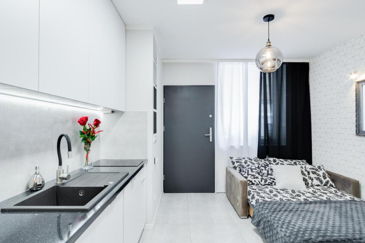 Crystal Apartment Katowice IV Dış mekan fotoğraf