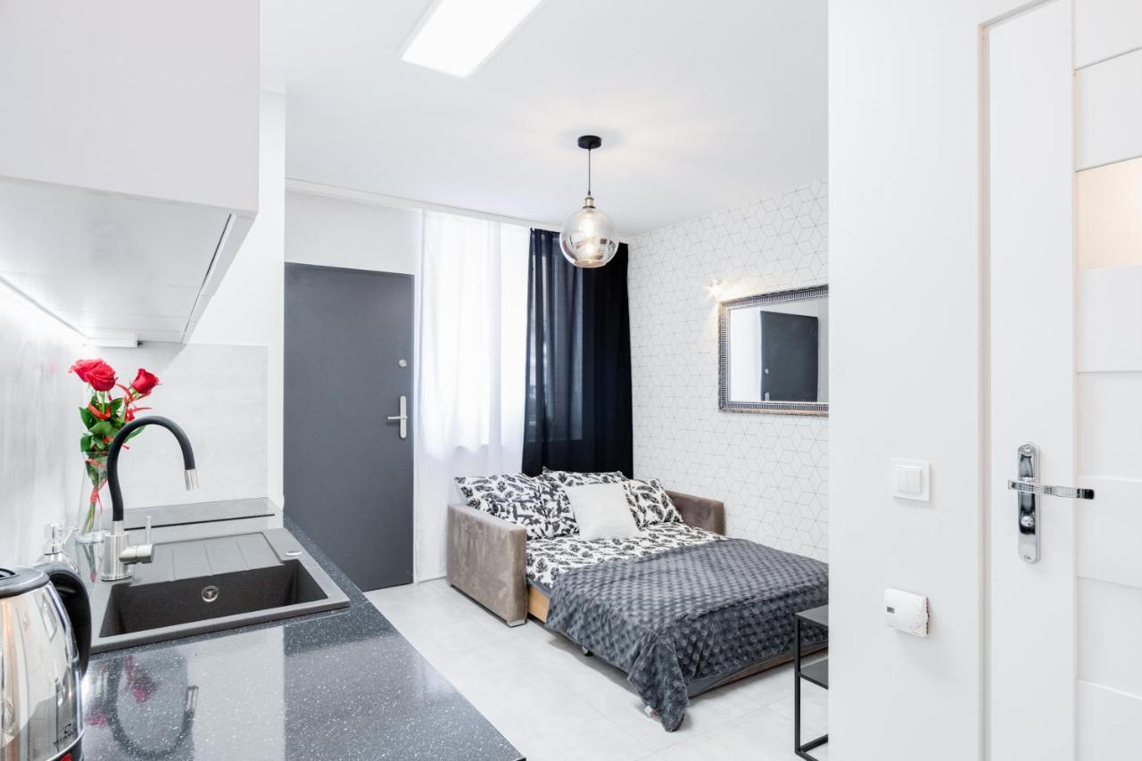 Crystal Apartment Katowice IV Dış mekan fotoğraf
