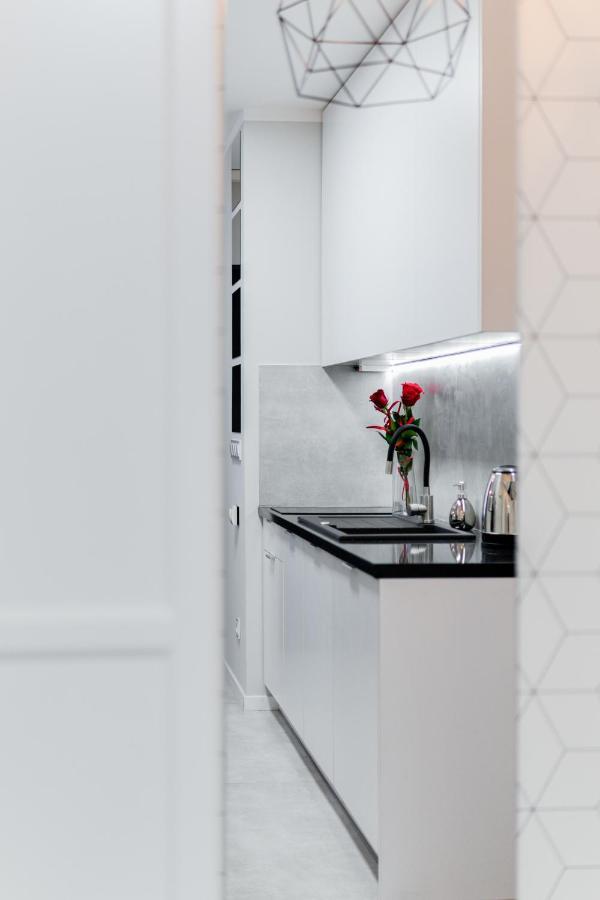 Crystal Apartment Katowice IV Dış mekan fotoğraf